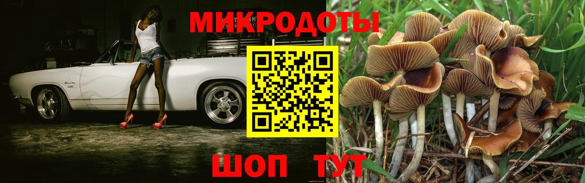 Рыбинск  закладки  Вход с VPN  Галлюциногенные грибы Magic Shrooms  Псилоцибиновые грибы прущие грибы 